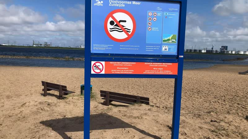 Al veel waarschuwingen voor blauwalg in zwemwater!