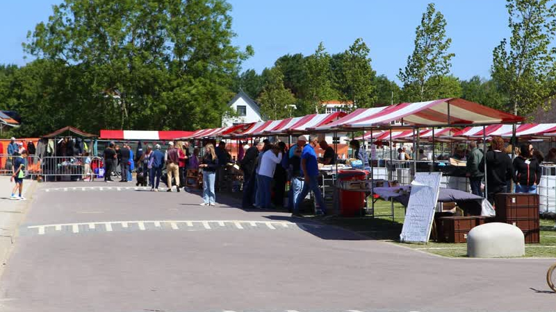 Gezellige rommelmarkt in Zwartewaal