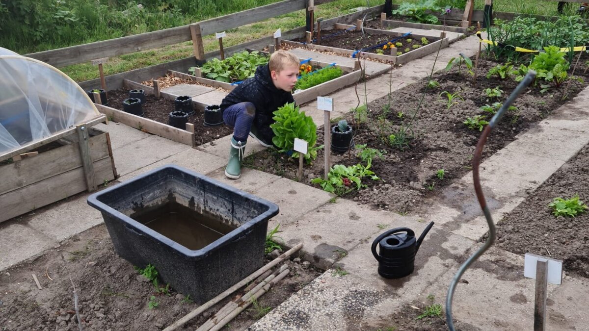 WhatsApp Image 2026-03-30 at 15.25.06.jpeg