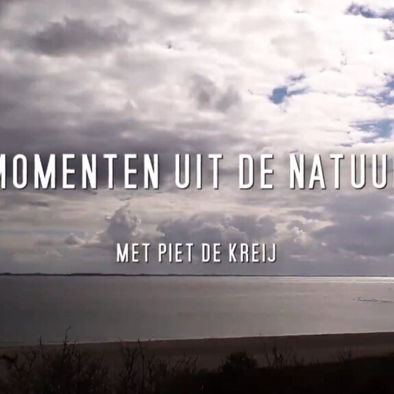 Momenten Uit De Natuur