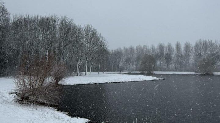 Marjan Rietdijk-Broeders - vijver Oostvoorne.jpg