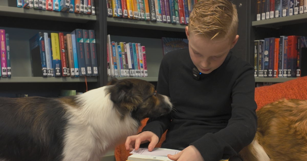 Voorleeshond helpt kinderen met lezen