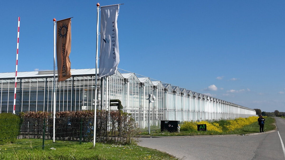 Schermafbeelding 2026-04-22 121344.jpg