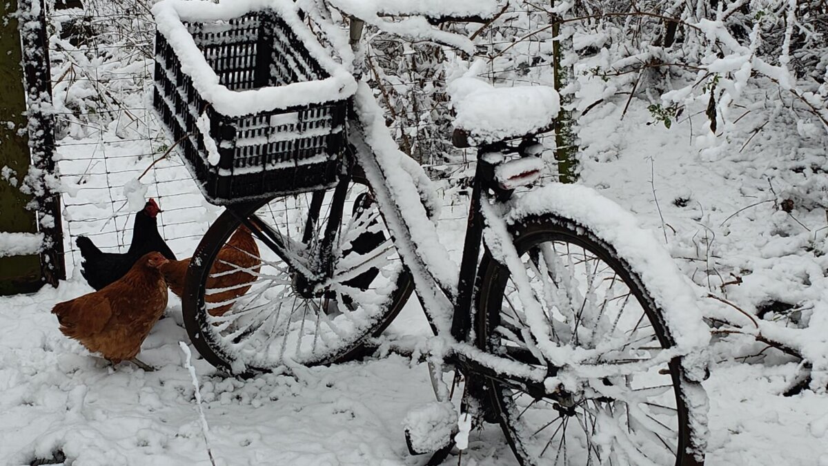 Yvonne Heijboer - Oostvoorne.jpg