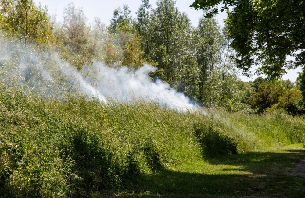 Brand Wallen Hellevoetsluis.jpeg