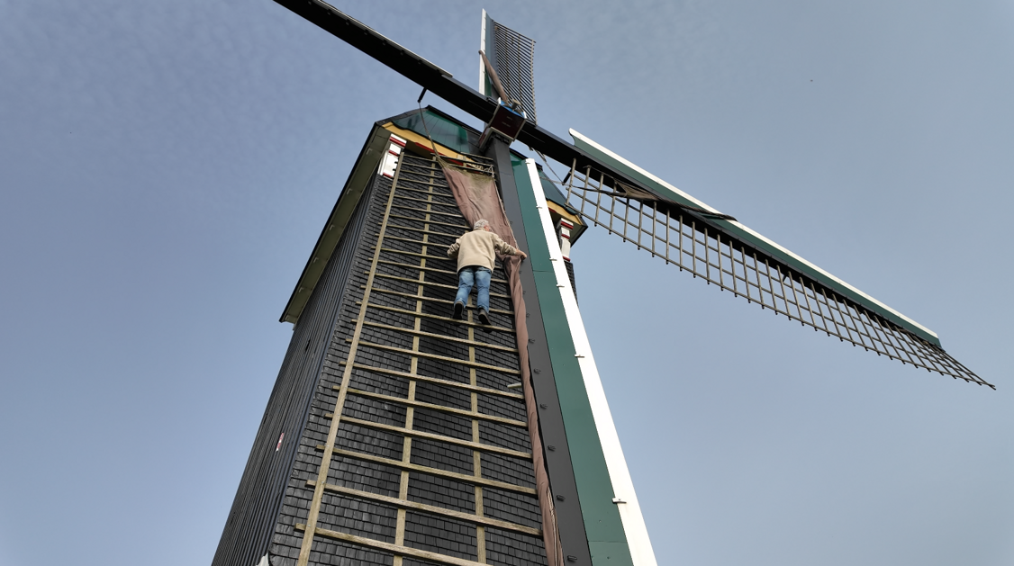 Brielse molen 't Vliegend Hert 40 jaar jong