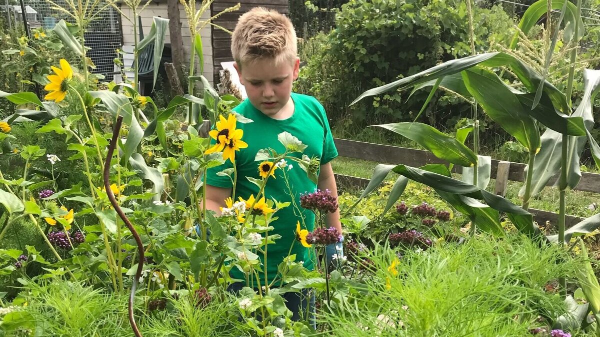 WhatsApp Image 2026-03-30 at 15.26.19.jpeg