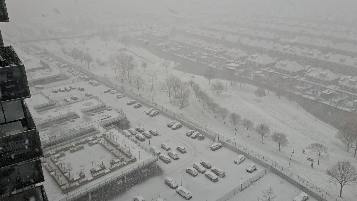 Lilian van de Water.jpg