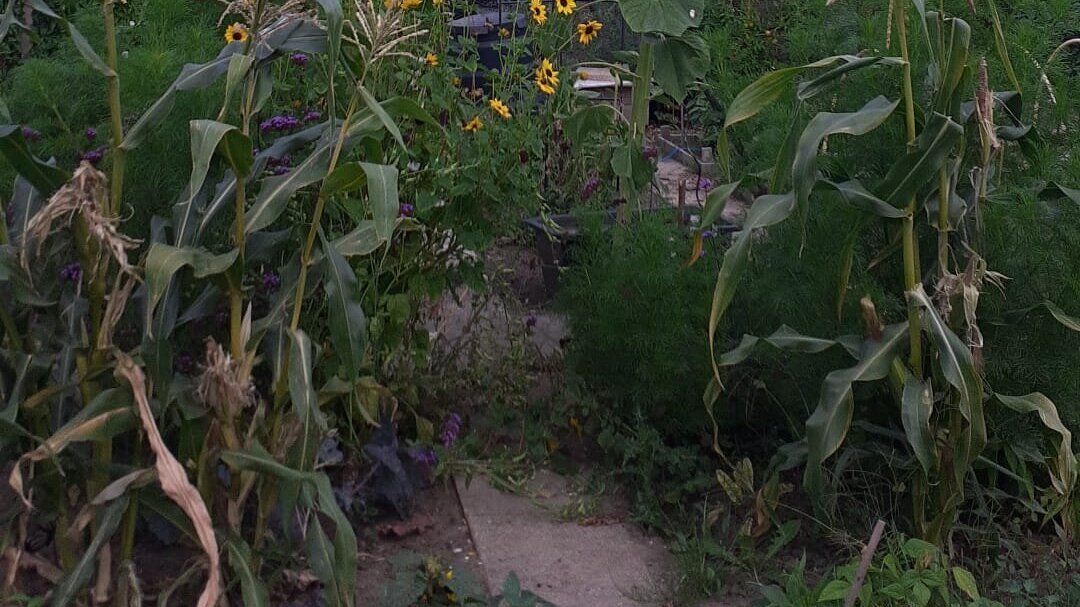 WhatsApp Image 2026-03-30 at 15.27.54.jpeg