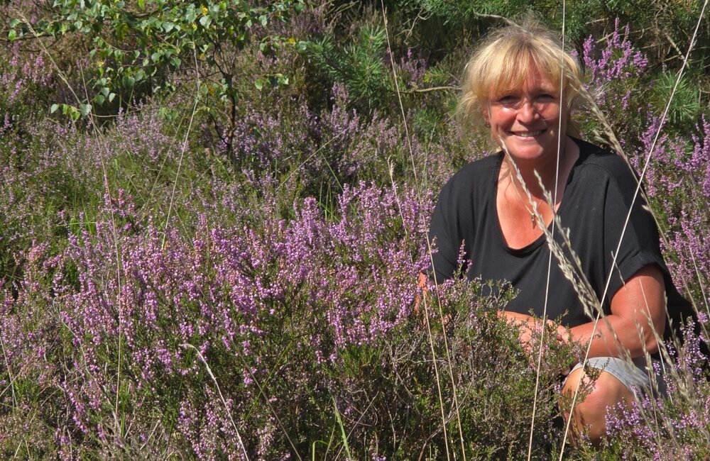 WhatsApp Image 2026-04-01 at 12.37.03.jpeg