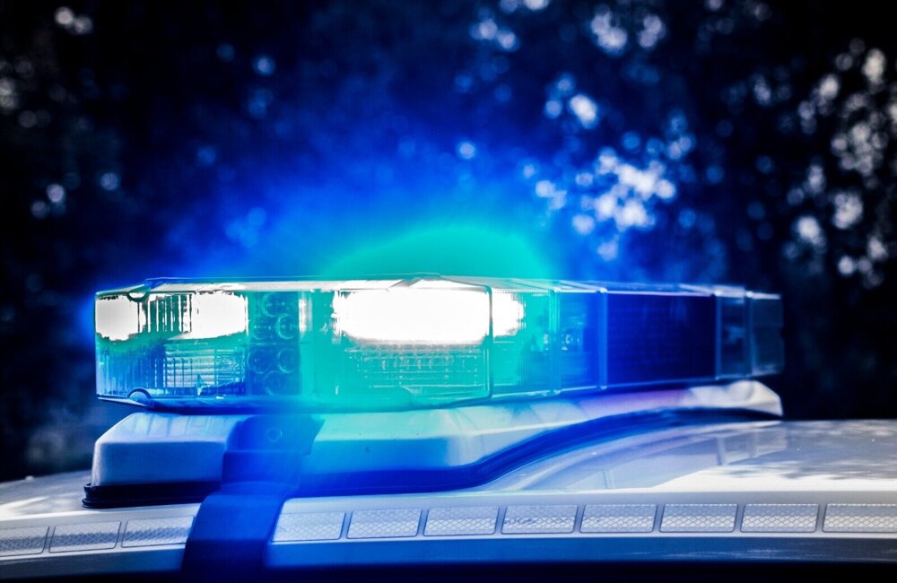 WhatsApp Image 2026-02-22 at 23.11.24.jpeg