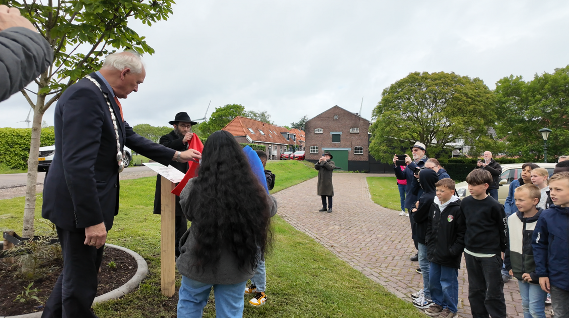Zaailing van Anne Frankboom bij Joodse begraafplaats Geervliet