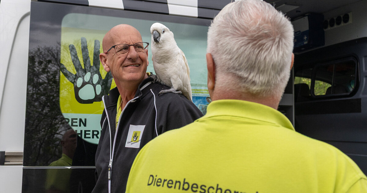 Veel belangstelling voor open dag bij Dierenopvangcentrum Spijkenisse