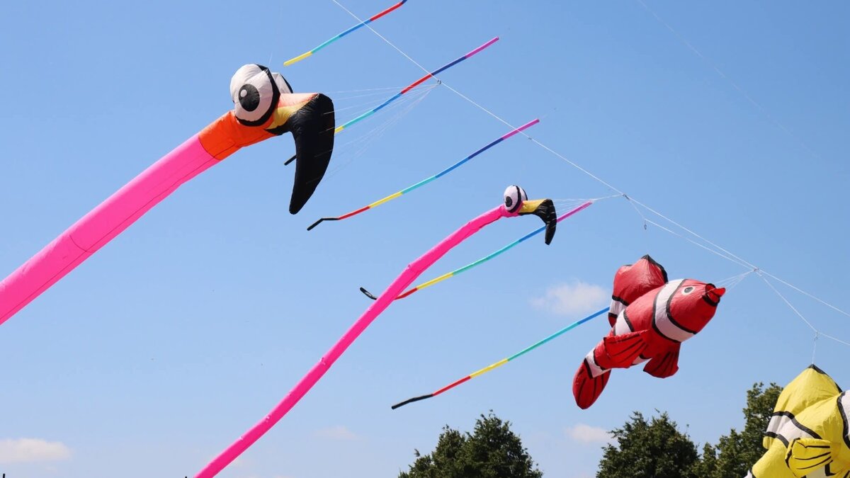 Vliegerfestival
