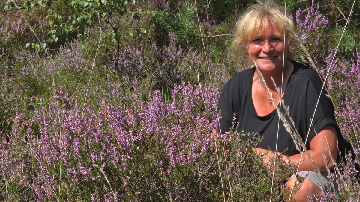 WhatsApp Image 2026-04-01 at 12.37.03.jpeg