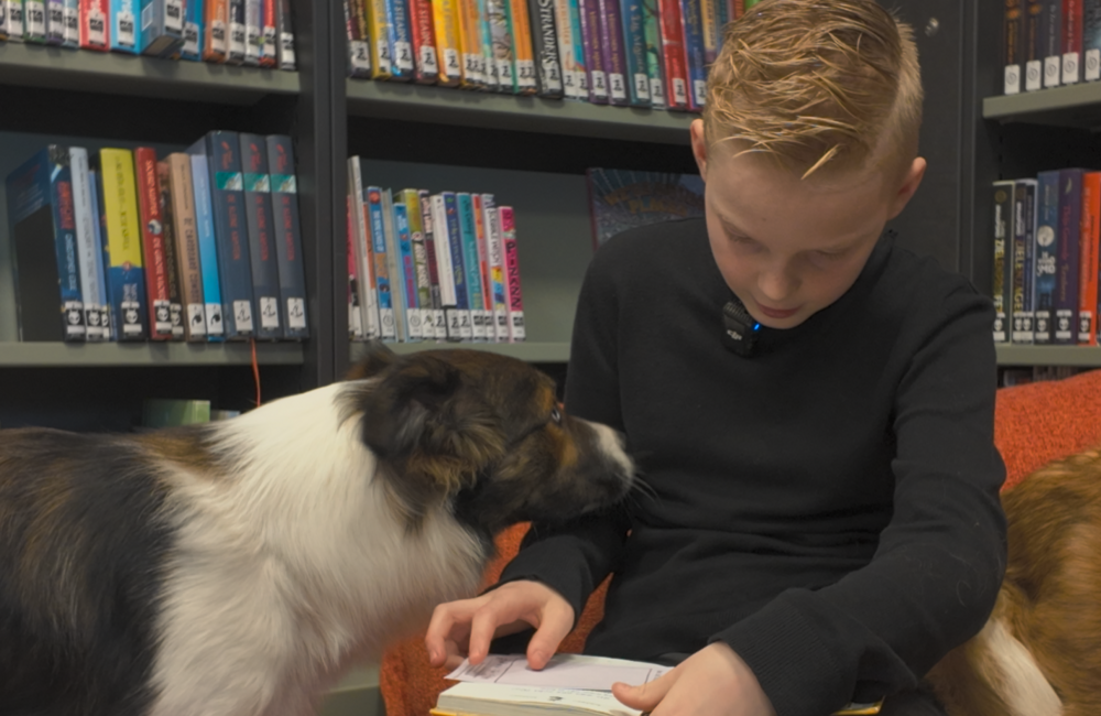 Schermafbeelding 2026-02-13 163251.png