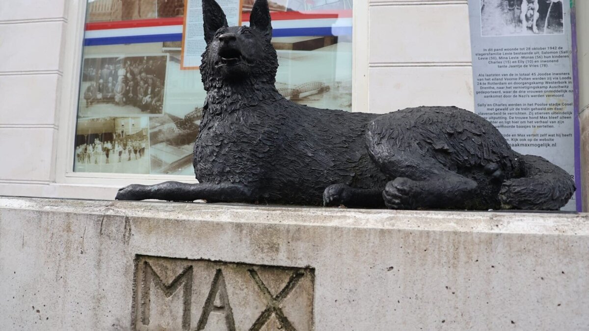 WhatsApp Image 2026-04-10 at 12.30.55.jpeg