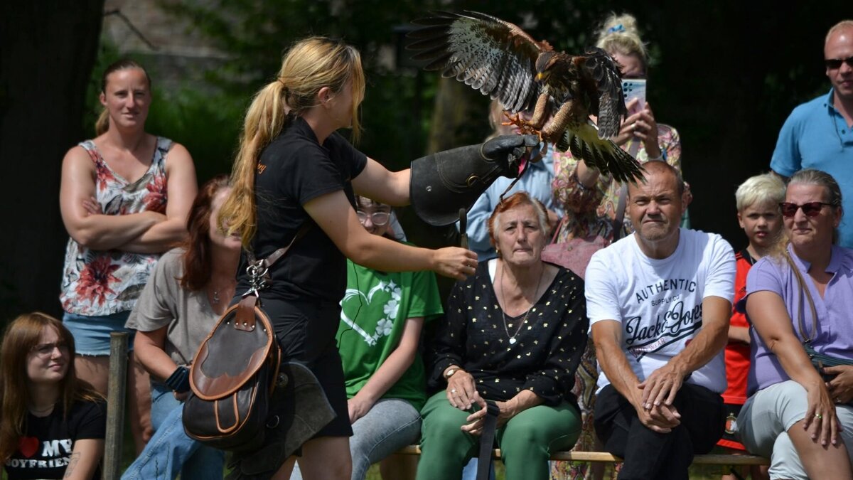 Roofvogelshow Ruine Ravesteyn Heenvliet