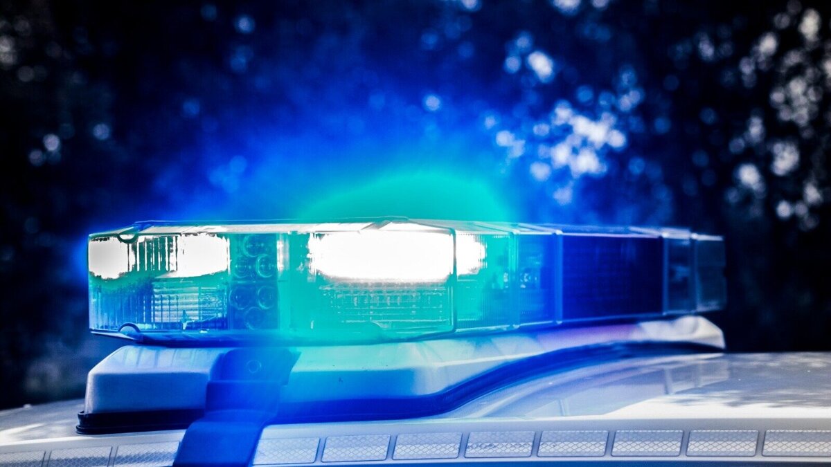 WhatsApp Image 2026-02-22 at 23.11.24.jpeg