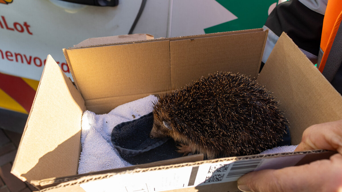 Dieren4u_ontvangt_geldbedrag_Xenna (1).jpg