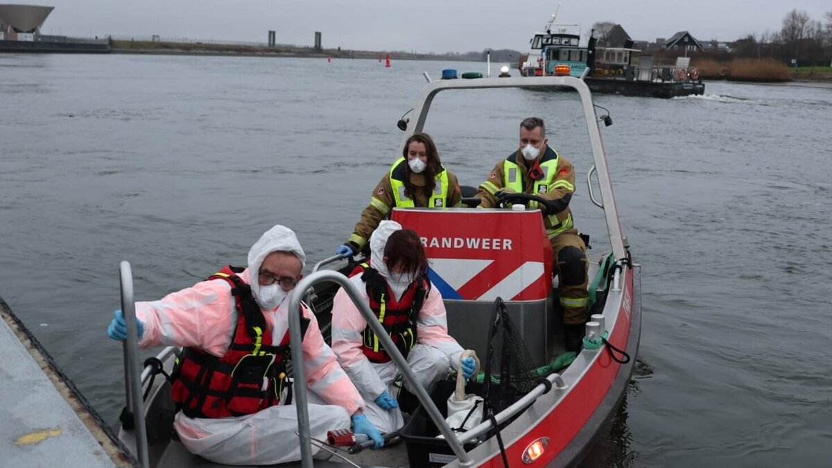 WhatsApp Image 2026-01-28 at 16.37.41.jpeg