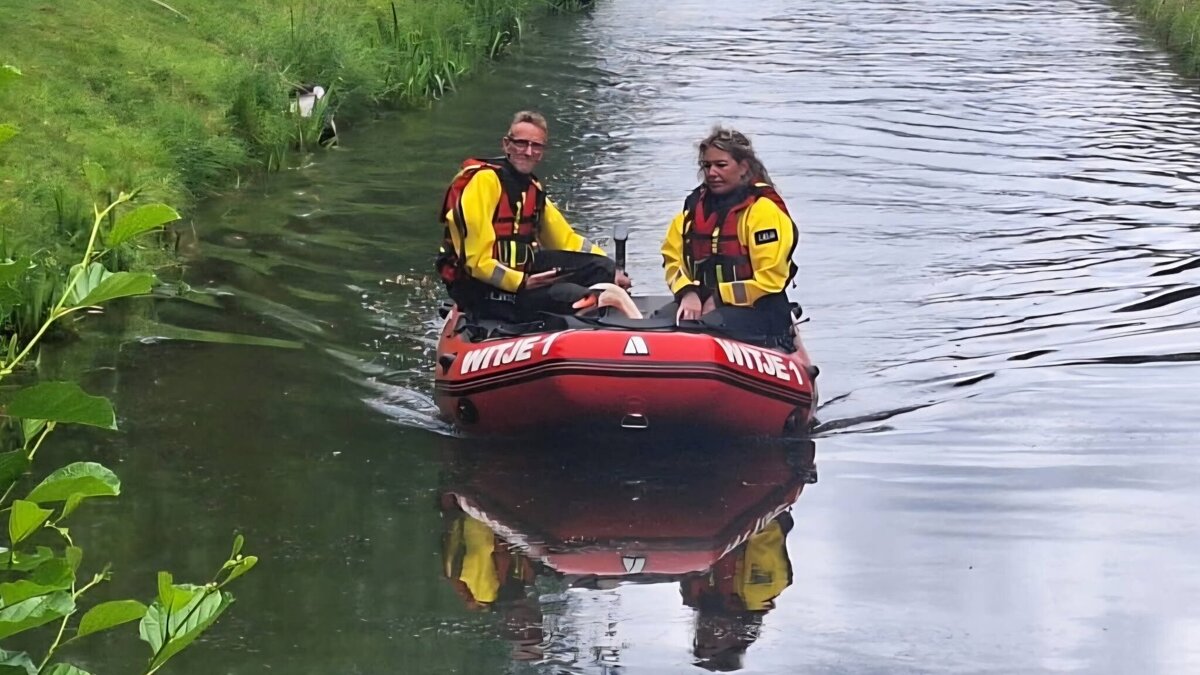 Zwaan Rockanje gered