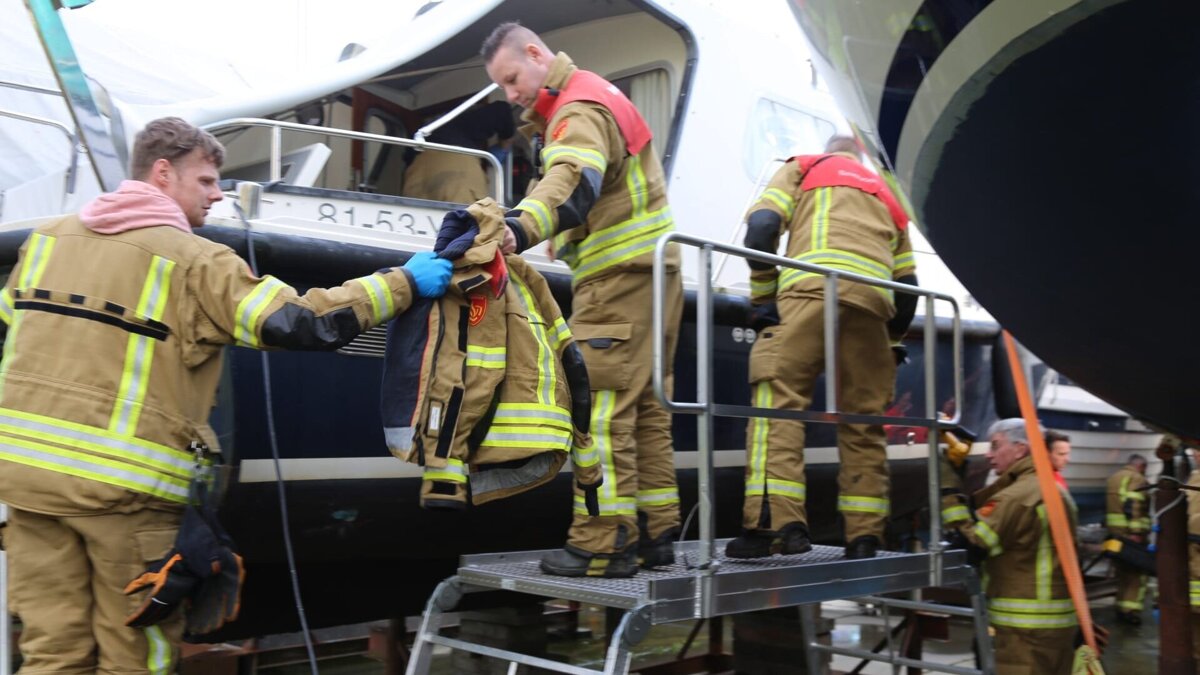 WhatsApp Image 2026-03-14 at 17.19.53.jpeg