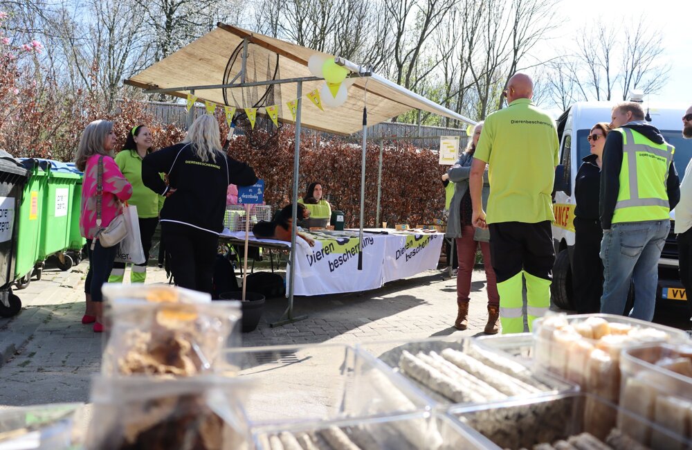 WhatsApp Image 2026-04-04 at 12.43.12.jpeg