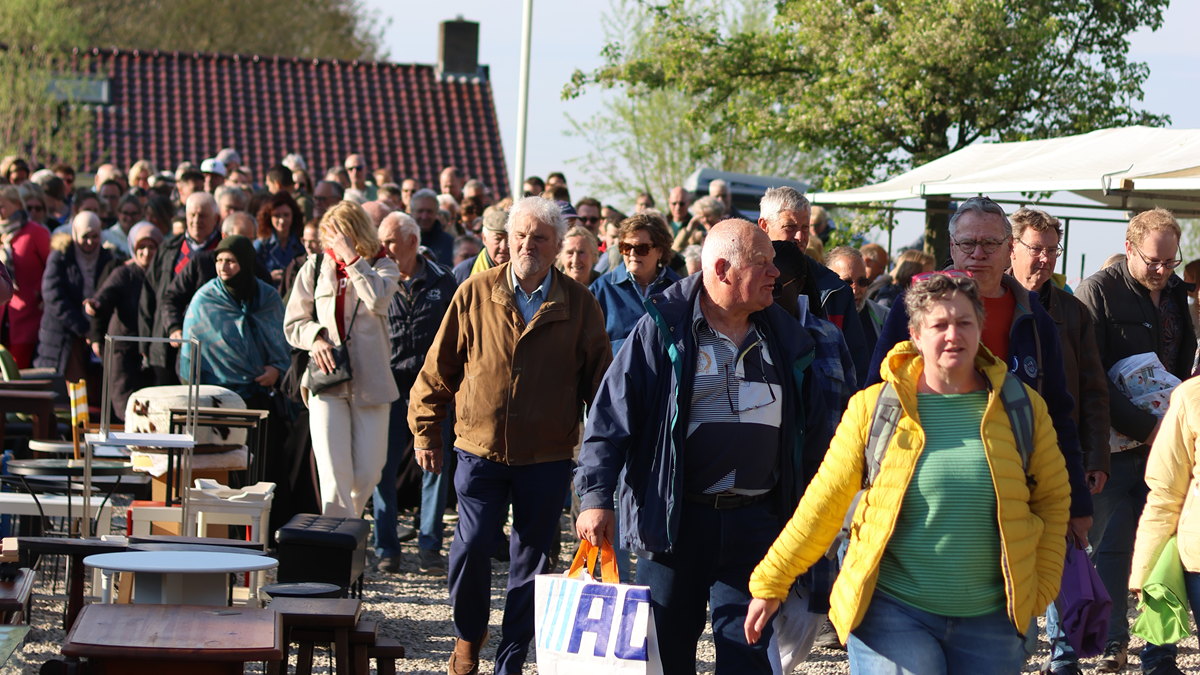 rommelmarkt tinte.png