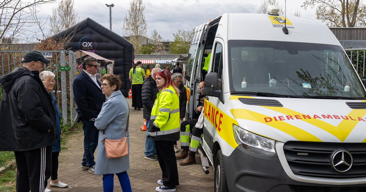 Dierenopvangcentrum Spijkenisse zoekt vrijwilligers voor opknapbeurt: ‘We hebben extra handen nodig’