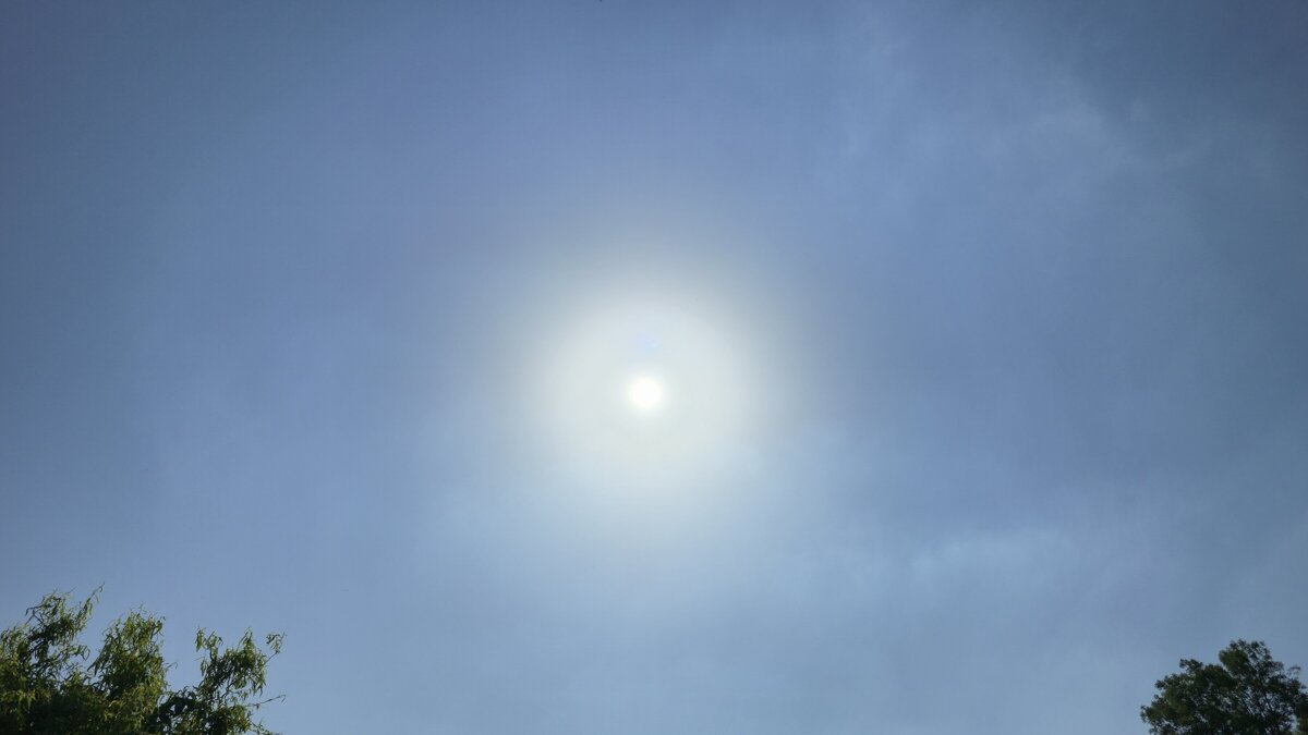 Zon_weer
