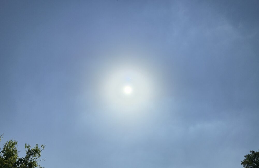 Zon_weer