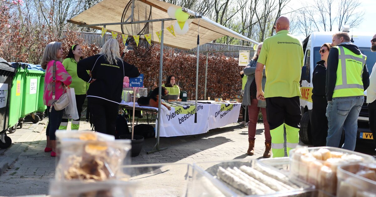 Open dag bij dierenopvangcentrum Spijkenisse