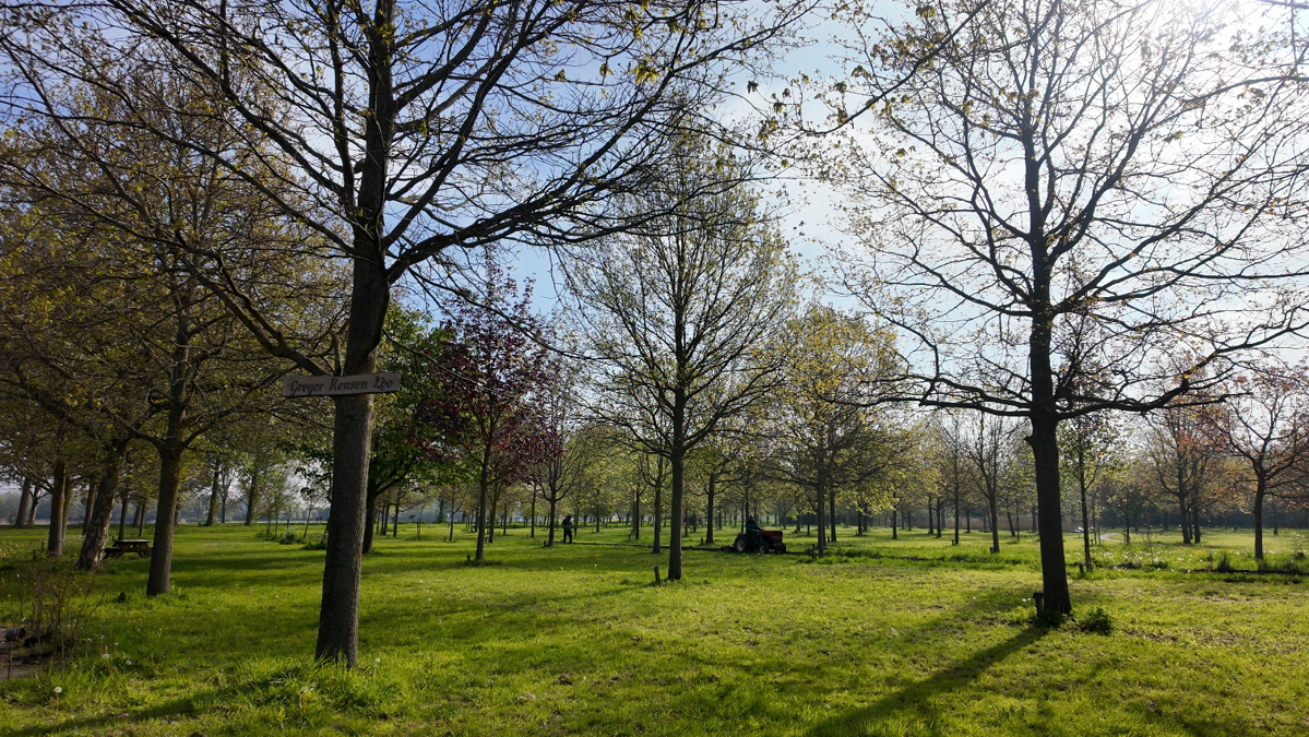 Schermafbeelding 2026-04-29 154441.png