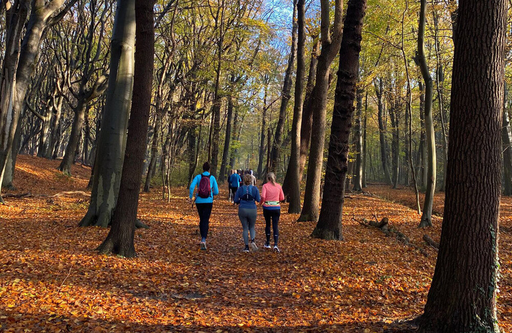 start2run 2026-1.jpg