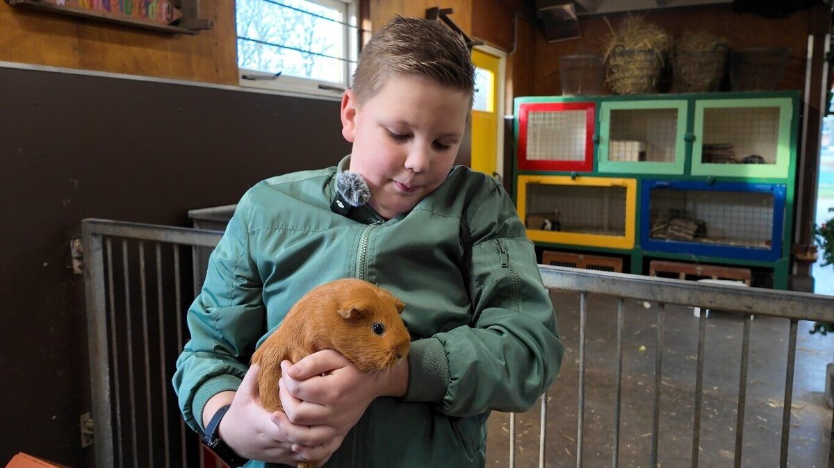 Luuk Trotse Pauw cavia.jpg