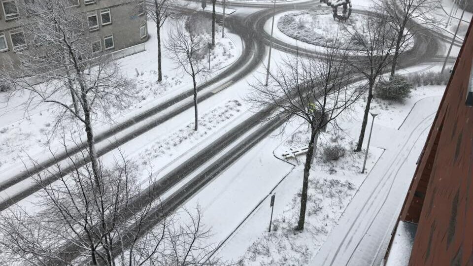 Christine van Zijl-van Berchum - Spijkenisse.jpg