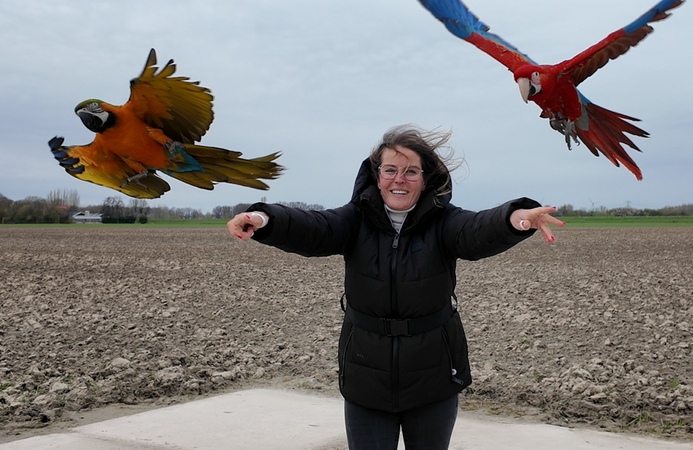 Schermafbeelding 2026-03-31 102907.png