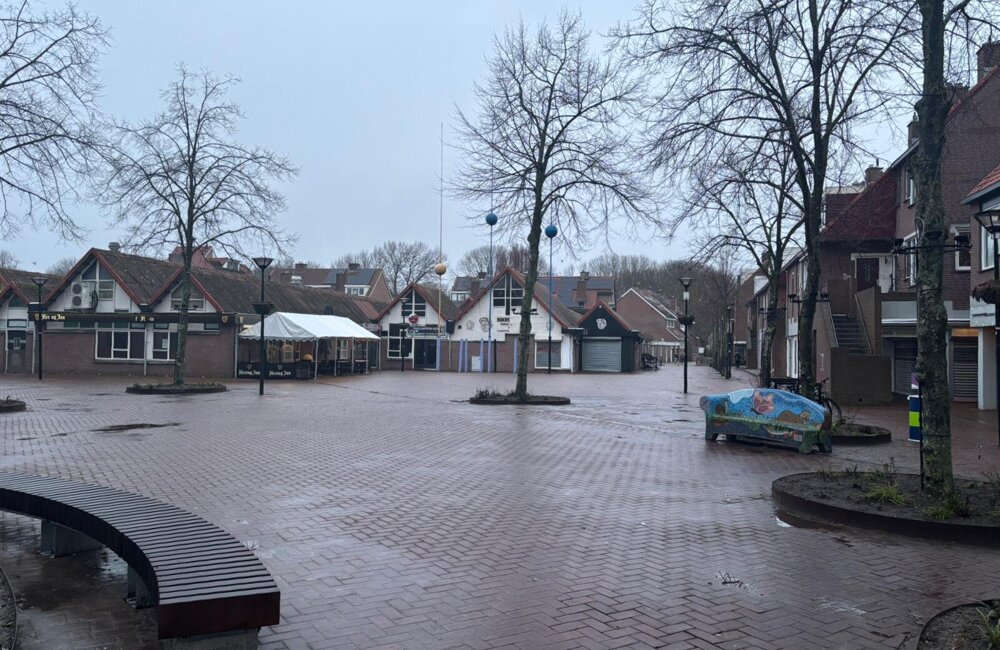 WhatsApp Image 2026-02-11 at 09.45.11.jpeg