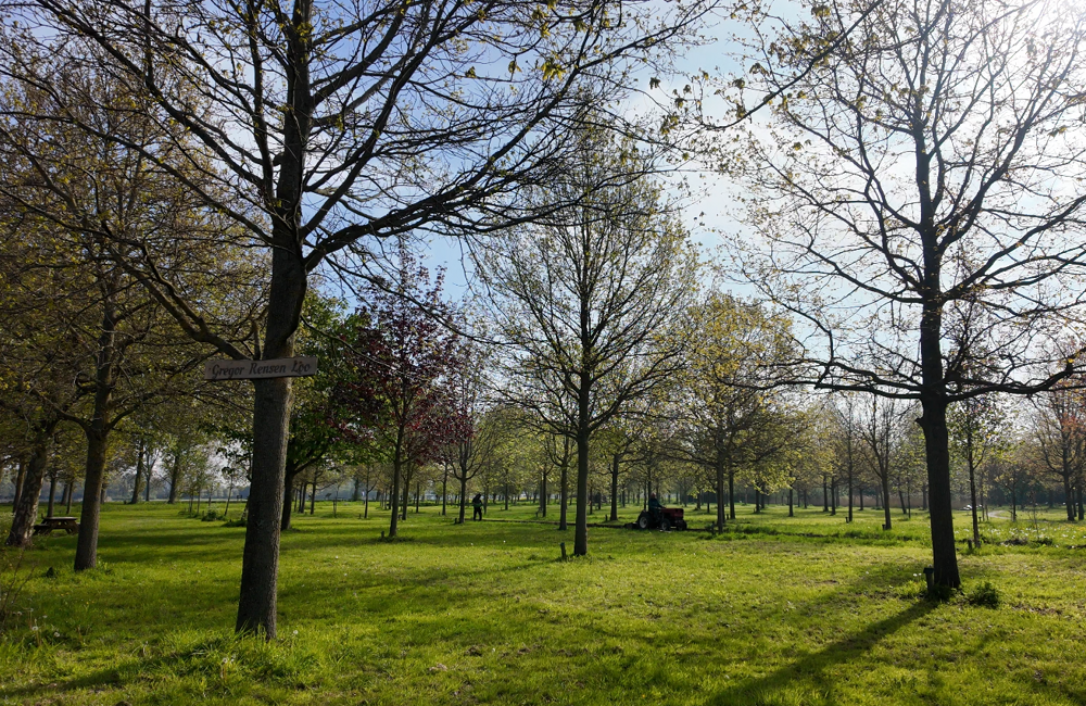 Schermafbeelding 2026-04-29 154441.png