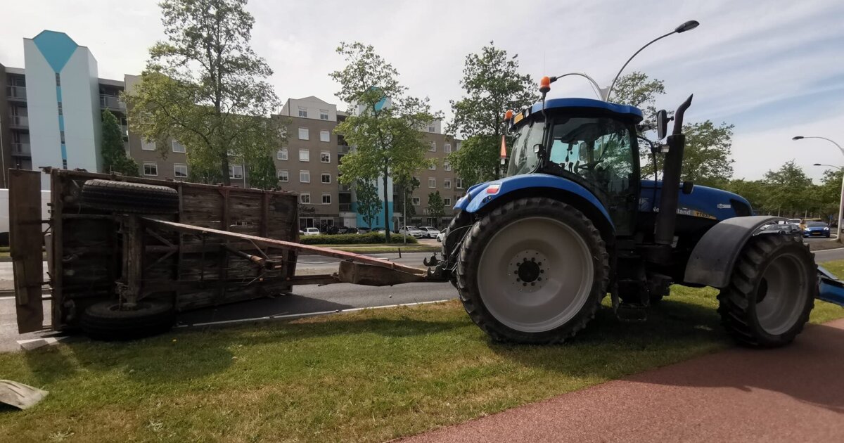 Amnesty Internationallaan afgesloten door aardappelen op de weg