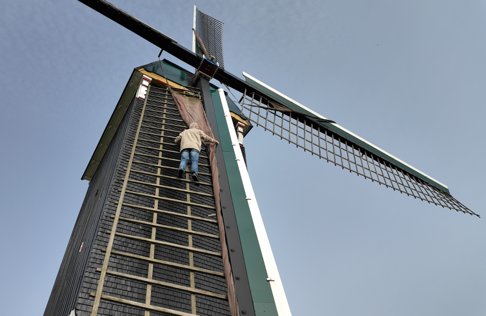 Schermafbeelding 2026-03-17 161624.png