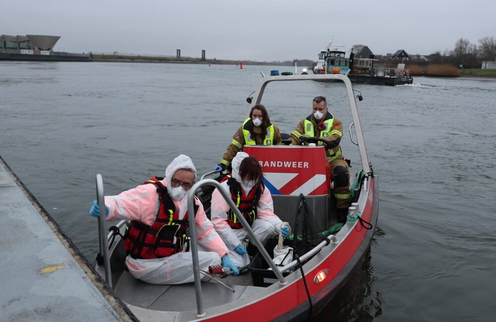 WhatsApp Image 2026-01-28 at 16.37.41.jpeg