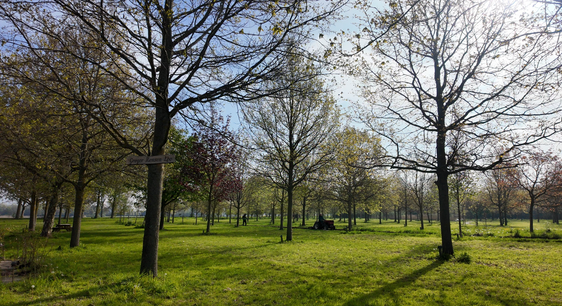 Bosmaaien en een band opbouwen in Vrijheidsbos Brielle