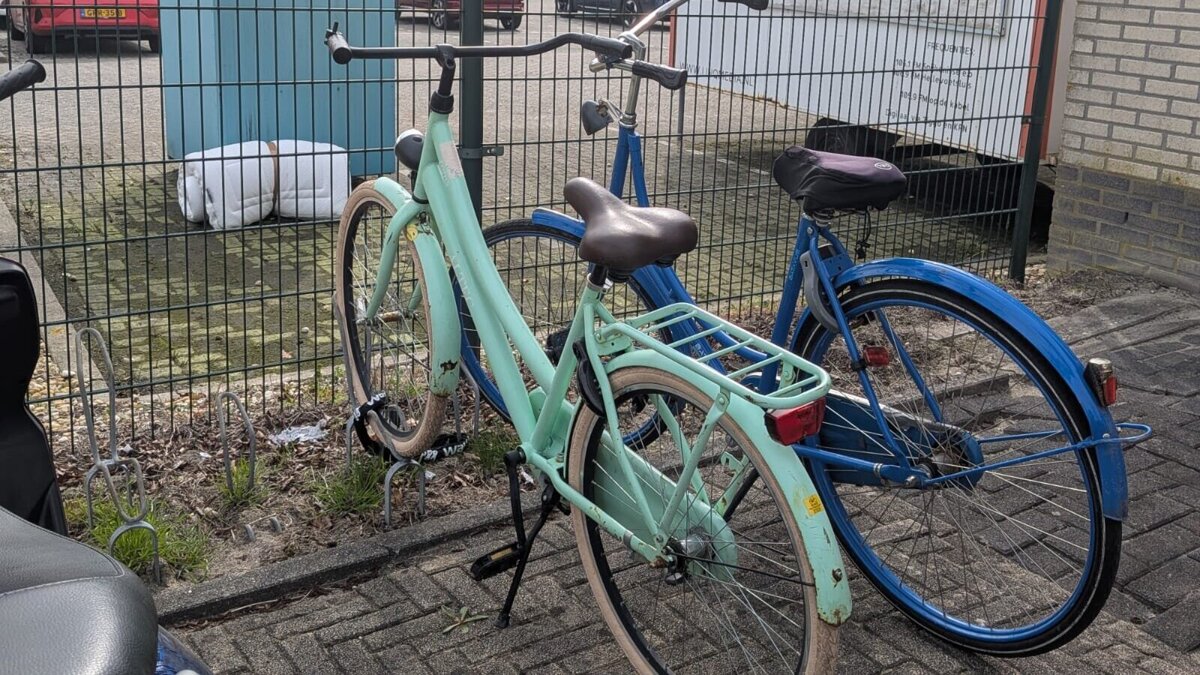 WhatsApp Image 2026-03-23 at 12.30.14.jpeg