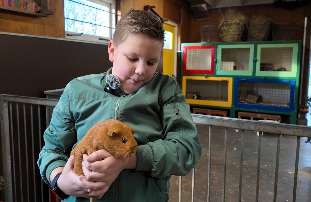 Luuk Trotse Pauw cavia.jpg