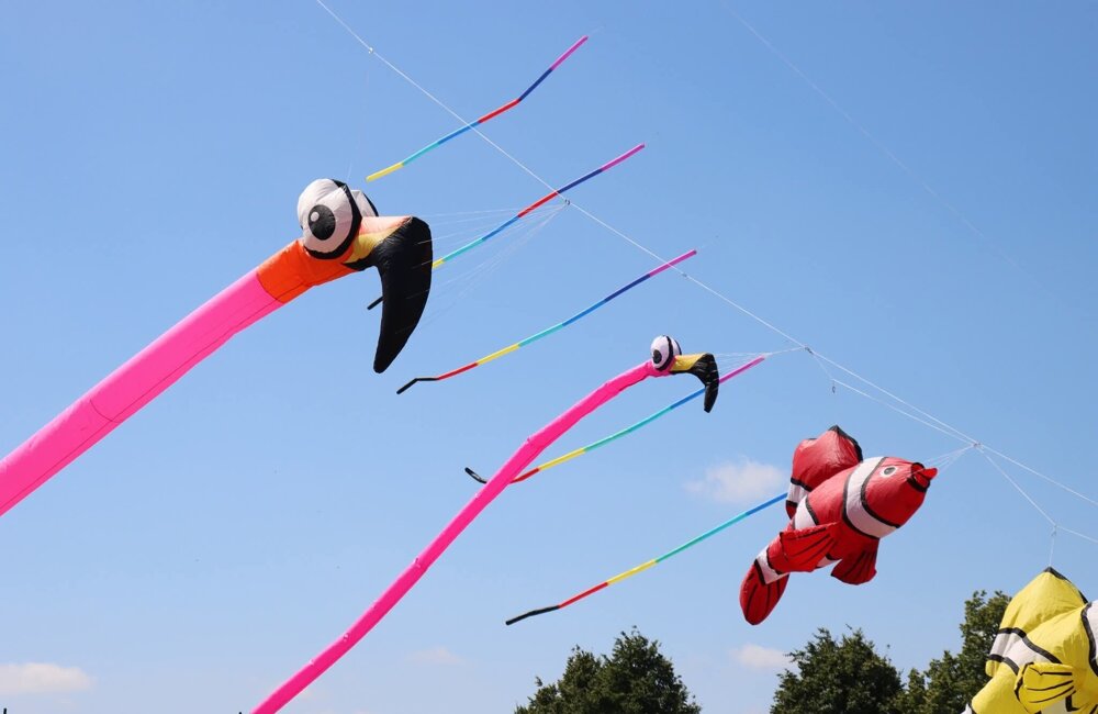Vliegerfestival