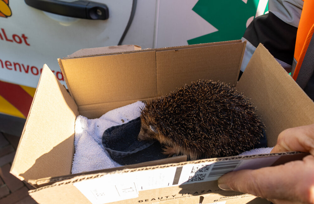 Dieren4u_ontvangt_geldbedrag_Xenna (1).jpg