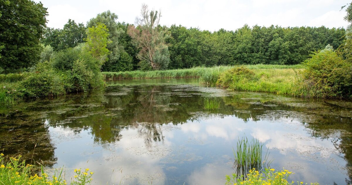 College akkoord met Masterplan Park Vogelenzang: voorbereidingen starten