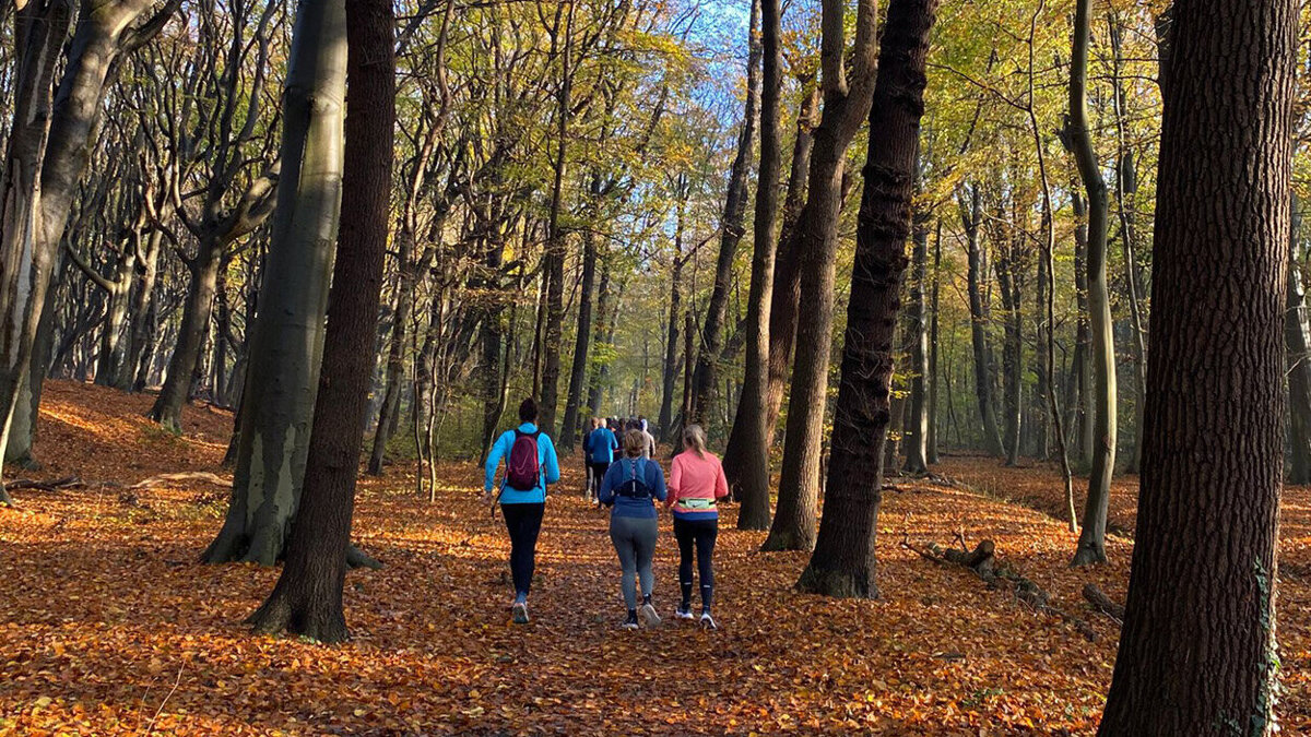 start2run 2026-1.jpg